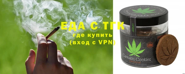 индика Аркадак