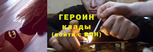 индика Аркадак