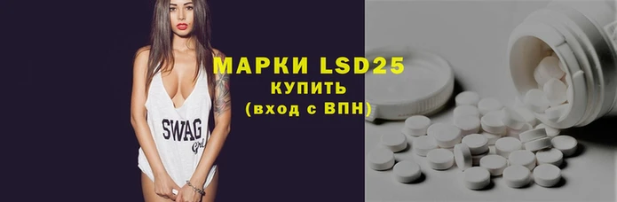 индика Аркадак