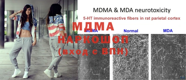стафф Армянск