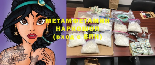 индика Аркадак