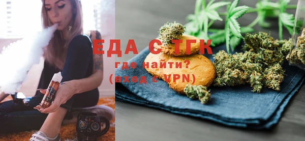 индика Аркадак