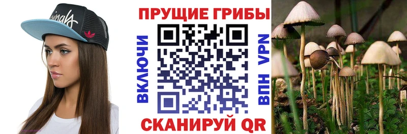 Галлюциногенные грибы ЛСД  где продают   Устюжна 